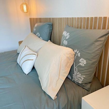 Apartamento Cocon Douillet Pres De La Gare. Nancy Exterior foto