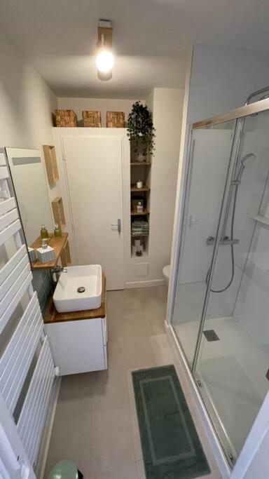 Apartamento Cocon Douillet Pres De La Gare. Nancy Exterior foto