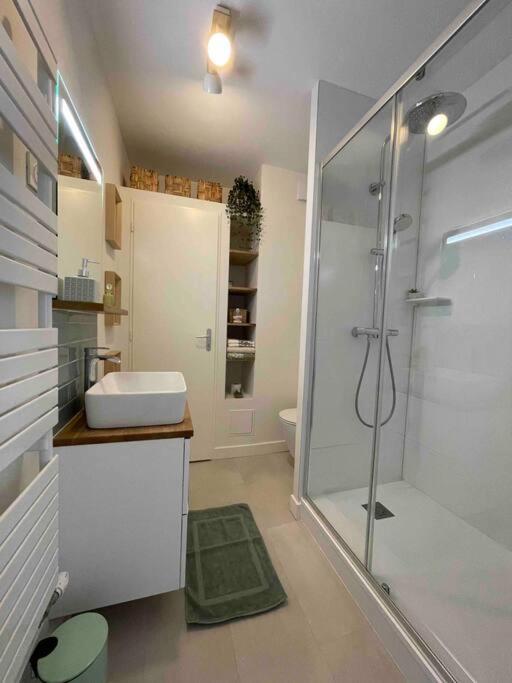 Apartamento Cocon Douillet Pres De La Gare. Nancy Exterior foto